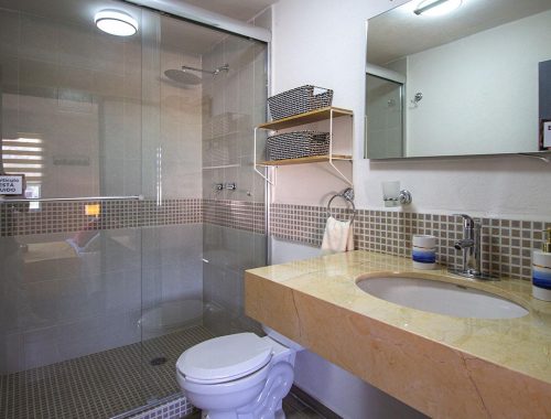 Alamo Plus 1 Xaltipa II Enlace Hogar (2)