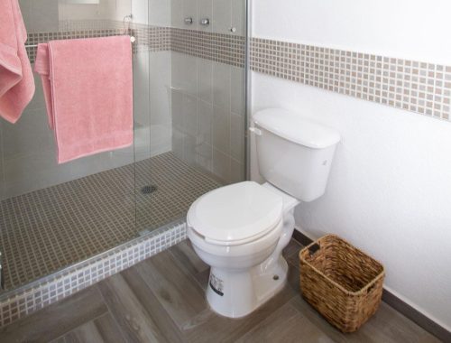 Alamo Plus 1 Xaltipa II Enlace Hogar (6)